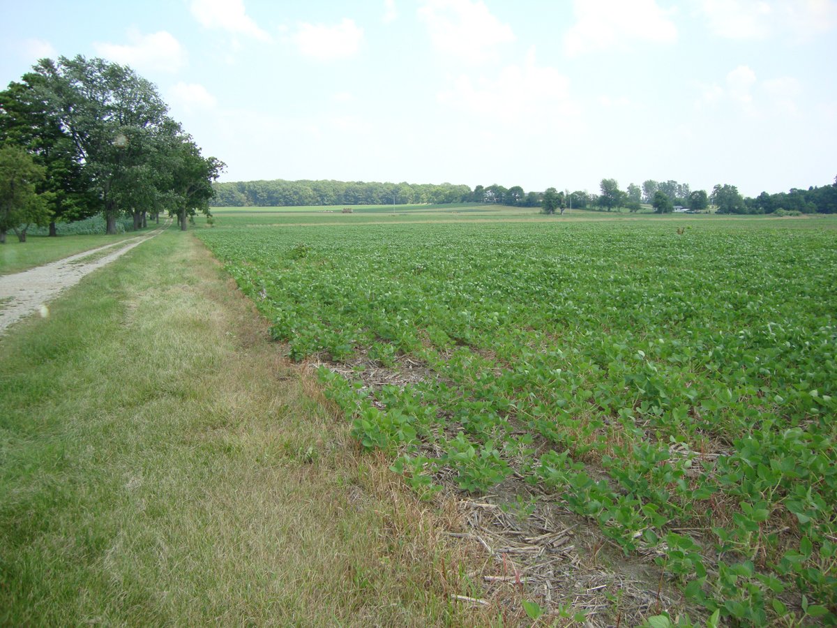 Property photo 8 - 160 Acres Offered in 6 Tracts